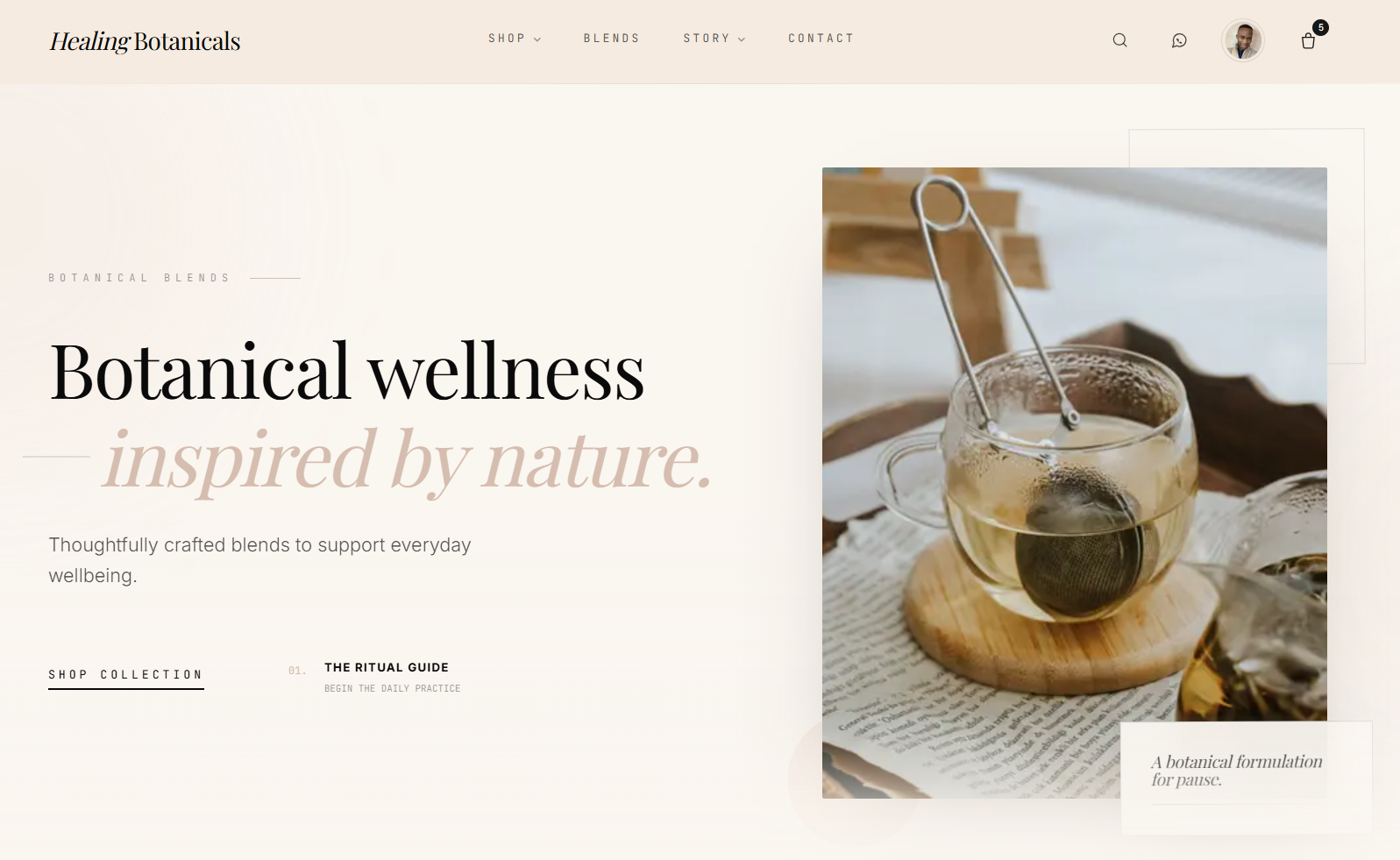 Healing Botanicals — E-Commerce & Asset Pipeline preview